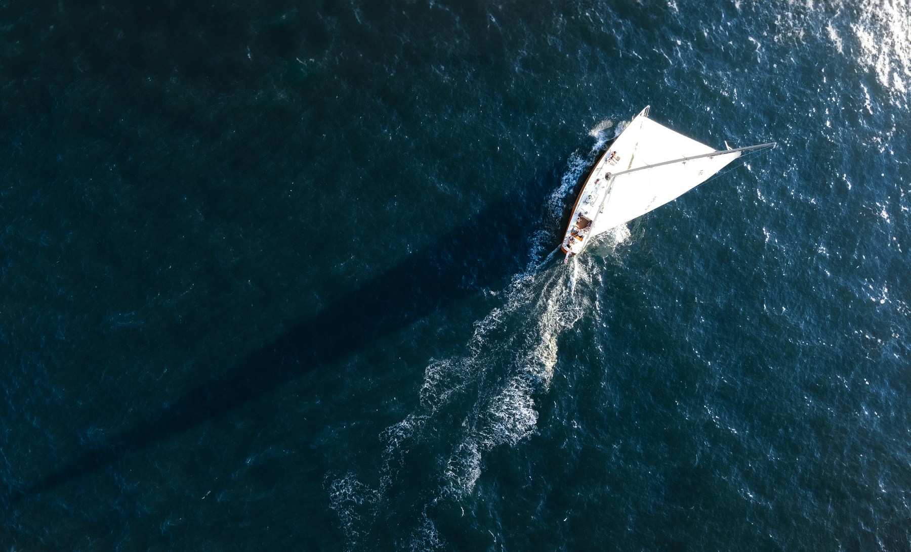 Velero y navegación